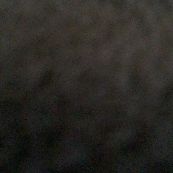 Meet your Posher, Carolyn - Picture 1 of 1